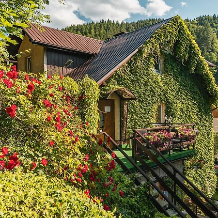 Appartement Dom "Pod Gorkami" à Szczawnica Extérieur photo
